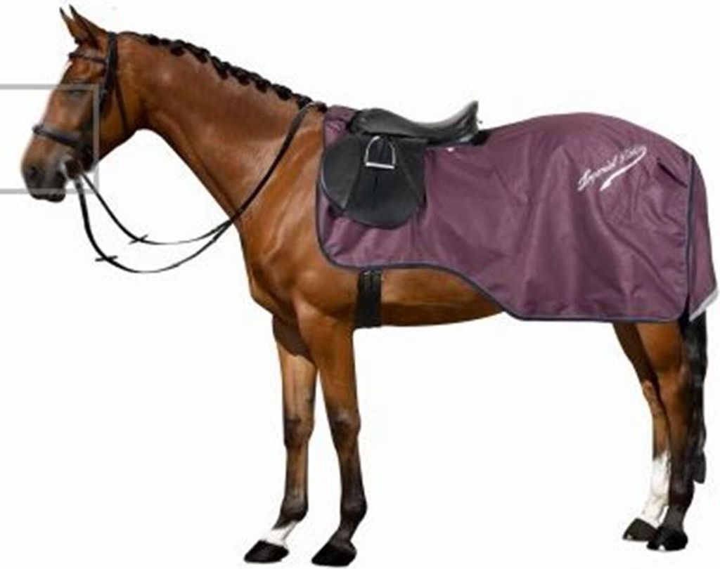 Imperial Riding Ausreitdecke Outdoor Super-dry wasserabweisend 0g Bordeaux, Größe:S