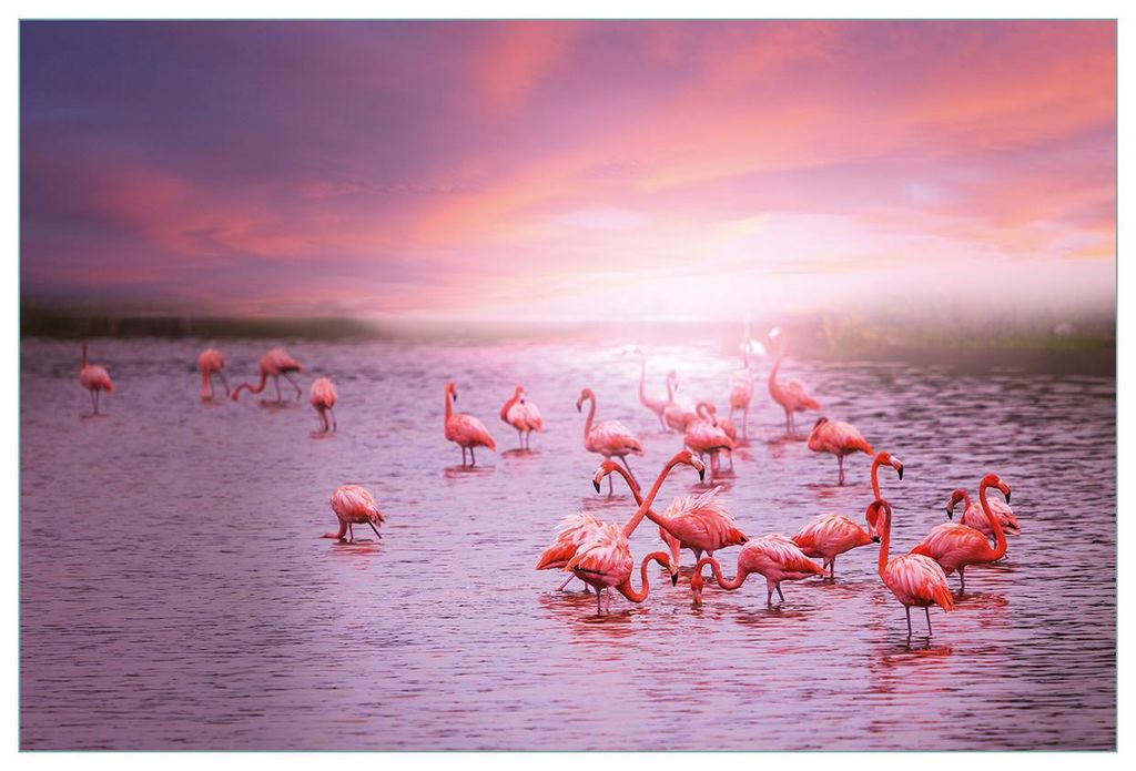 Wallario Küchenrückwand selbstklebend, Größe: 90 x 60 cm, Motiv: Rosa Flamingos bei Sonnenuntergang | Spritzschutz | abwischbar | pflegeleicht ...