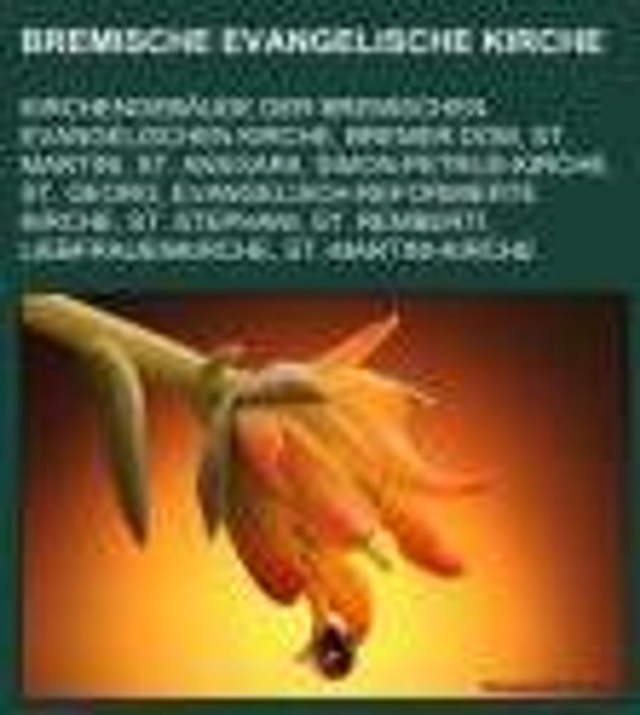 Bremische Evangelische Kirche