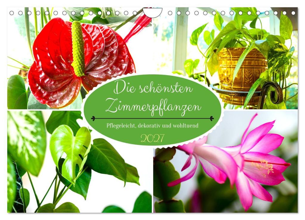 Die schönsten Zimmerpflanzen. Pflegeleicht, dekorativ und wohltuend (Wandkalender 2027 DIN A4 quer), CALVENDO Monatskalender