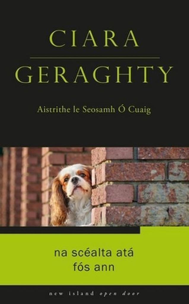 Na Scealta Ata Fos Ann Buch – Eine Reise durch Dublin mit Herrn Bolton und Hund George