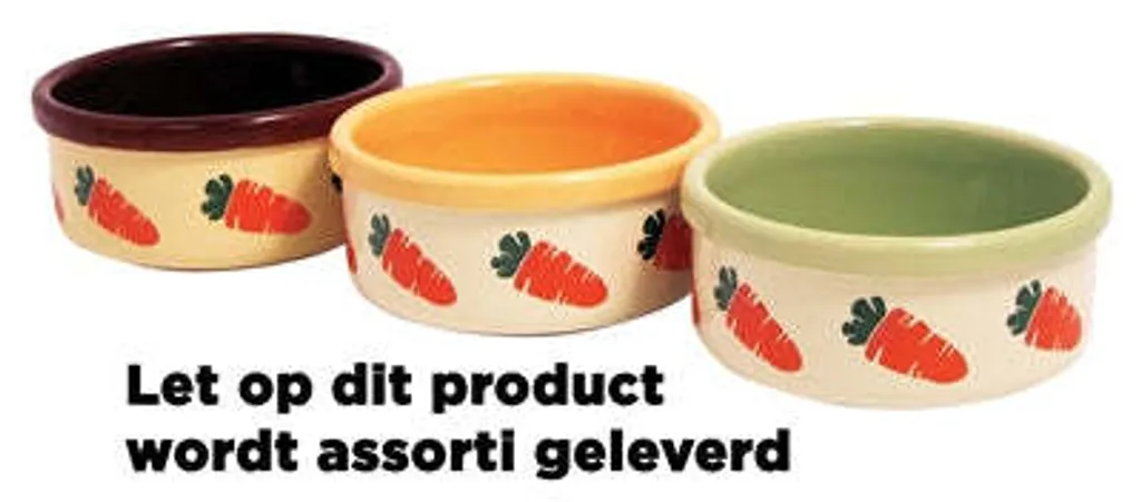 Écuelle Lapin Anti-Basculement en Grès Robuste Motif Carotte Rosewood