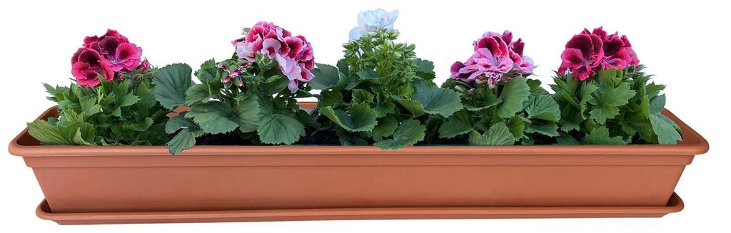 Blumenkasten Balkonkasten Pflanzkasten Terracotta mit Bewässerungssystem und Untersetzer 80 oder 100cm