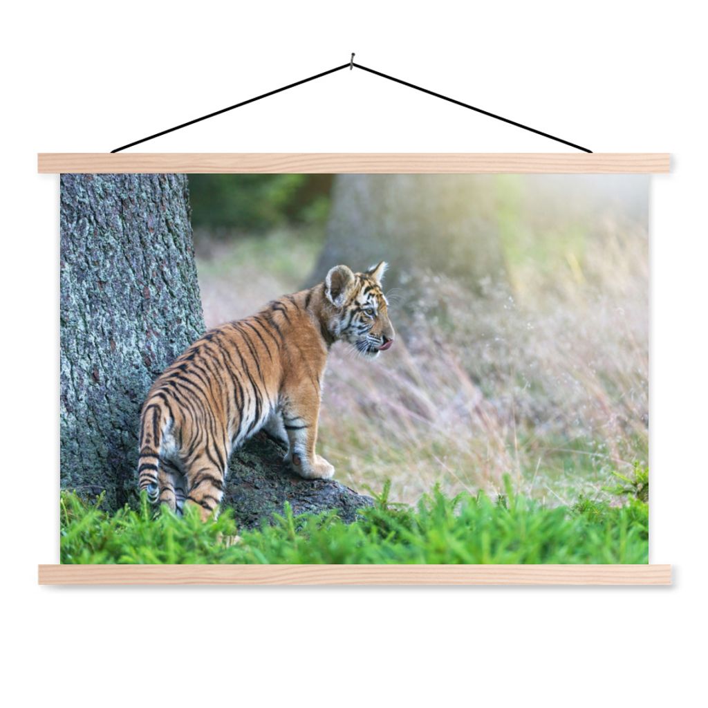 MuchoWow Textilposter Tigerjunges im Wald 60x40 cm mit holzfarbenen Rahmen - Bilder