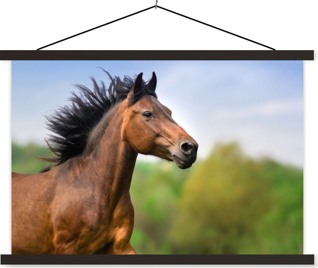 MuchoWow Textilposter Pferd - Tier - Mähne - Braun 120x80 cm mit schwarzem Rahmen - Wanddeko
