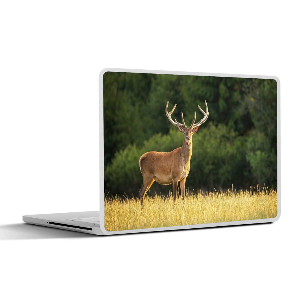 MuchoWow Laptop Aufkleber Sticker Cover Hirsch - Geweih - Gras - Natur - Tiere - Grün 25x18 cm - Laptop-Deko
