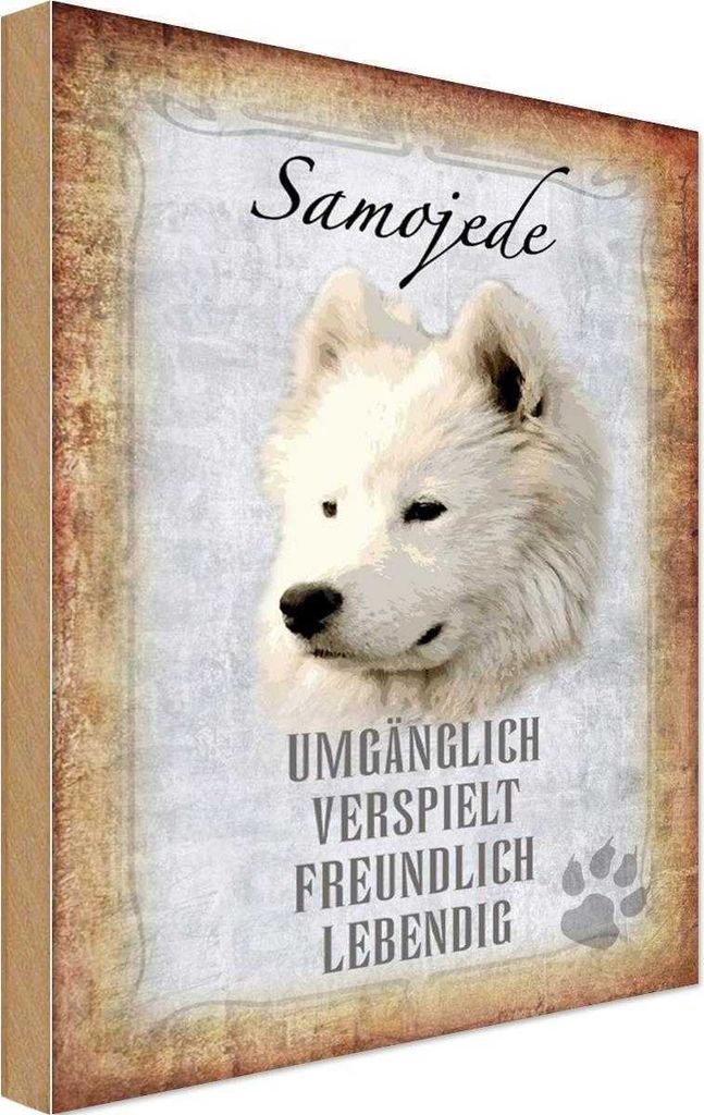 vianmo Holzschild 30x20 cm Samojede Hund Tier Haustier