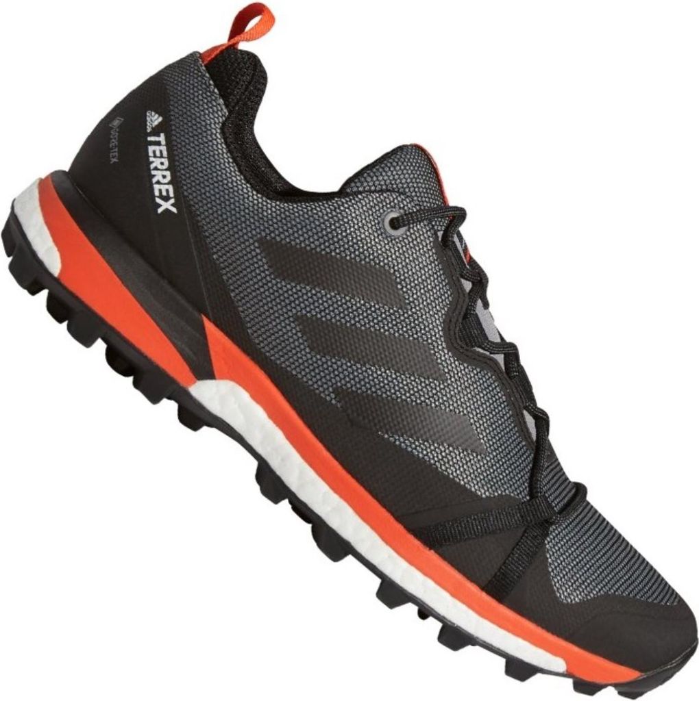 Adidas Schuhe Terrex Skychaser LT Gtx, F36101