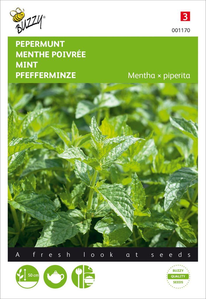 Pfefferminze | Pfefferminzsamen von Buzzy Seeds