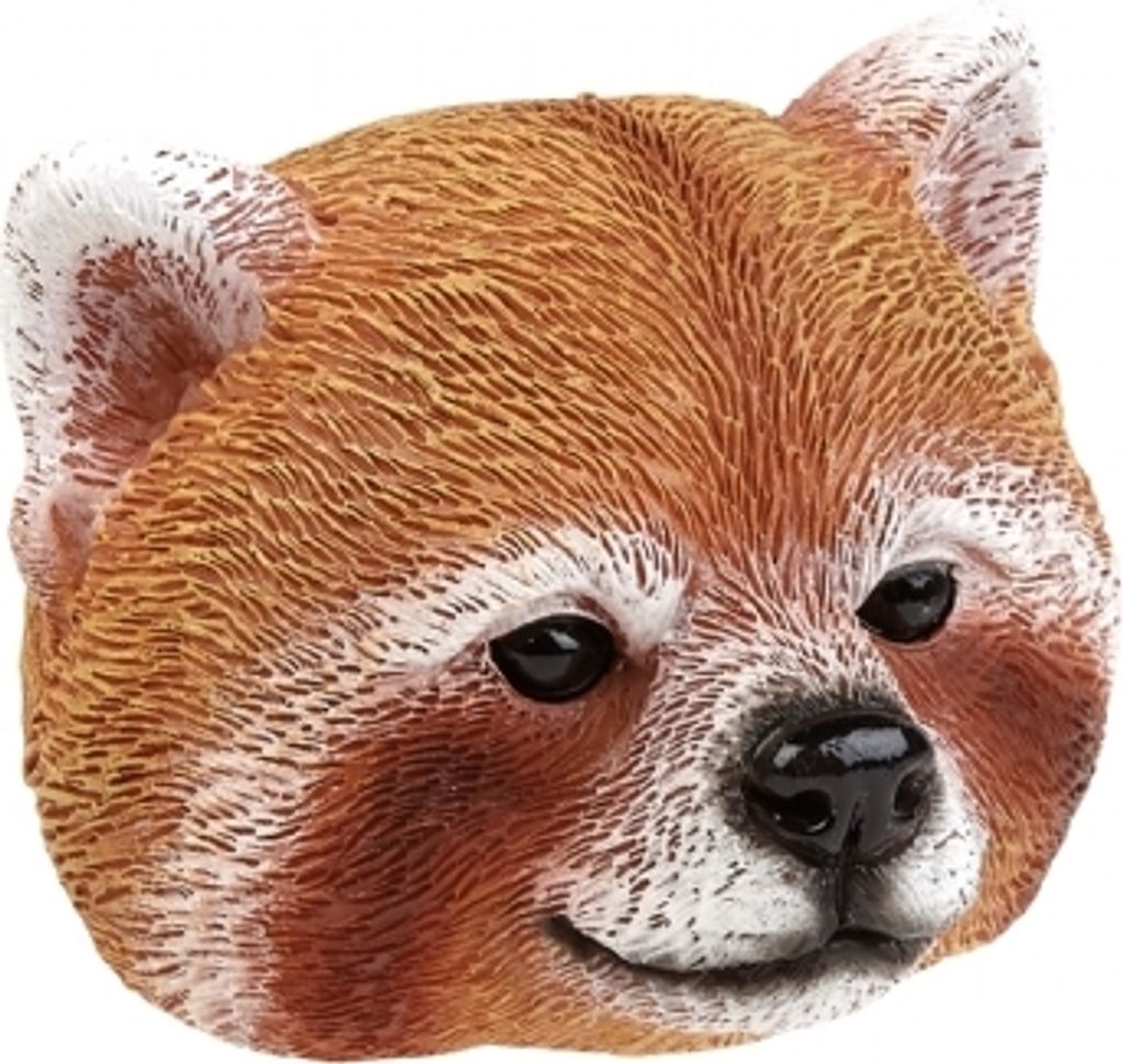 Magnet roter Panda, Kühlschrankmagnet Tier, Magnete Kühlschrankmagnete