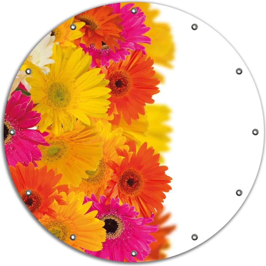 Wallario rundes Outdoor-Poster für Garten oder Balkon, Motiv Bunte Gerberas - pinke, gelbe, rote und weiße Blüten, 90 cm Durchmesser