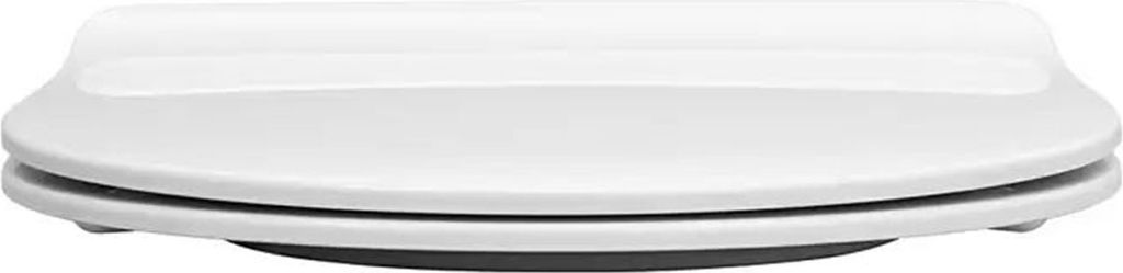 A white toilet seat with a lid is shown from a side-on, slightly elevated angle.