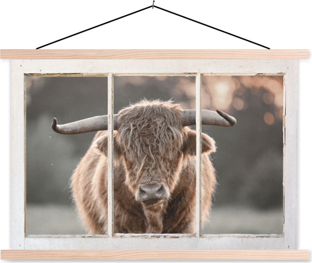 MuchoWow Textilposter Scottish Hochlandrind - Ansicht - Hörner 120x80 cm mit holzfarbenen Rahmen - Aufhängeset