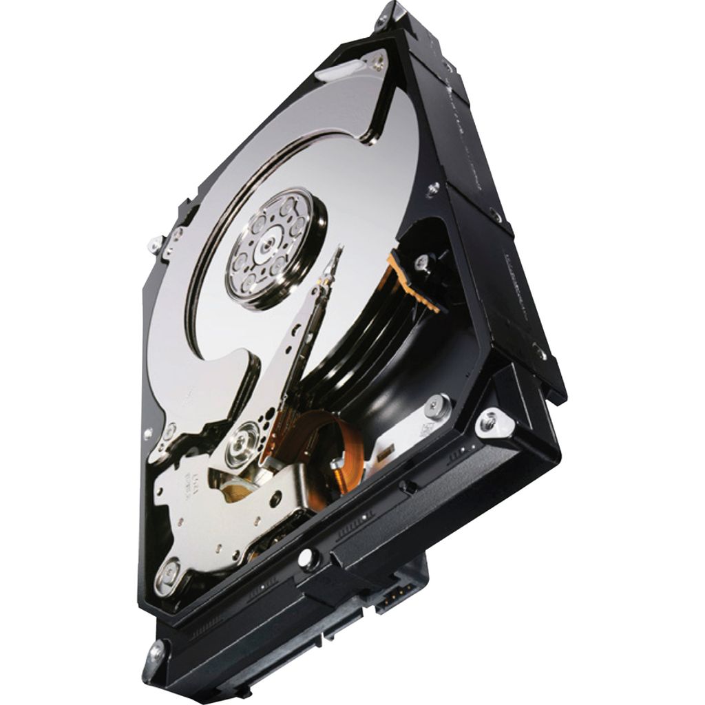 Festplatte Seagate 1Tb ST1000NC000 64Mb Cache 7200Rpm Sata III 3,5'' Zoll
