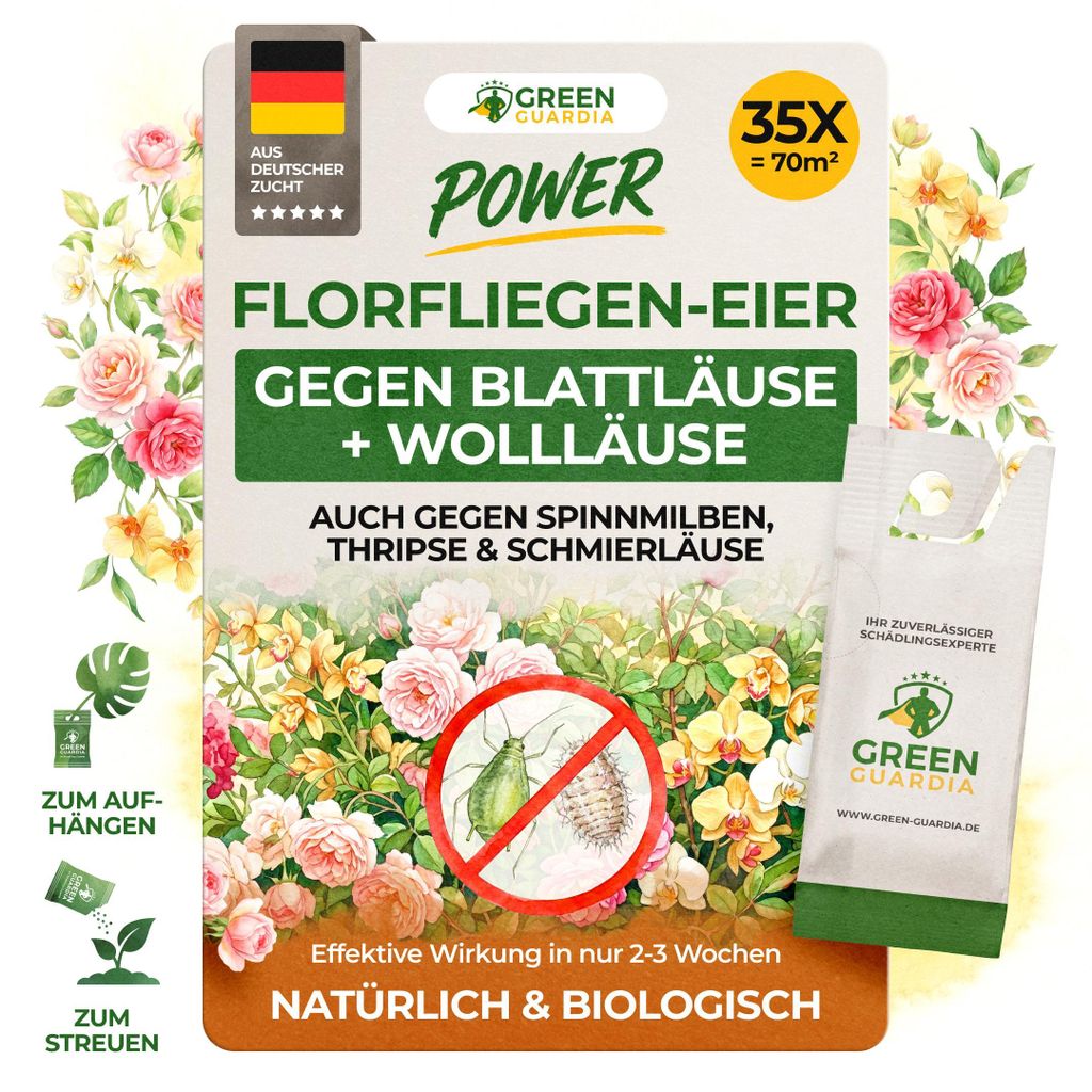 Power Florfliegenlarven gegen Blattläuse und Wollläuse – 35 Tüte für 350 m²- Mittel zur Wolläuse Bekämpfung für Zi.Pflanzen & Cannabis, G...