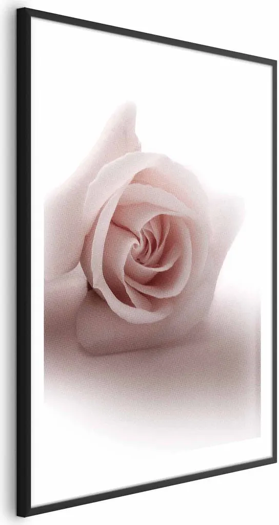 Poster Rose shadow 60x90 cm con cornice nera con margine