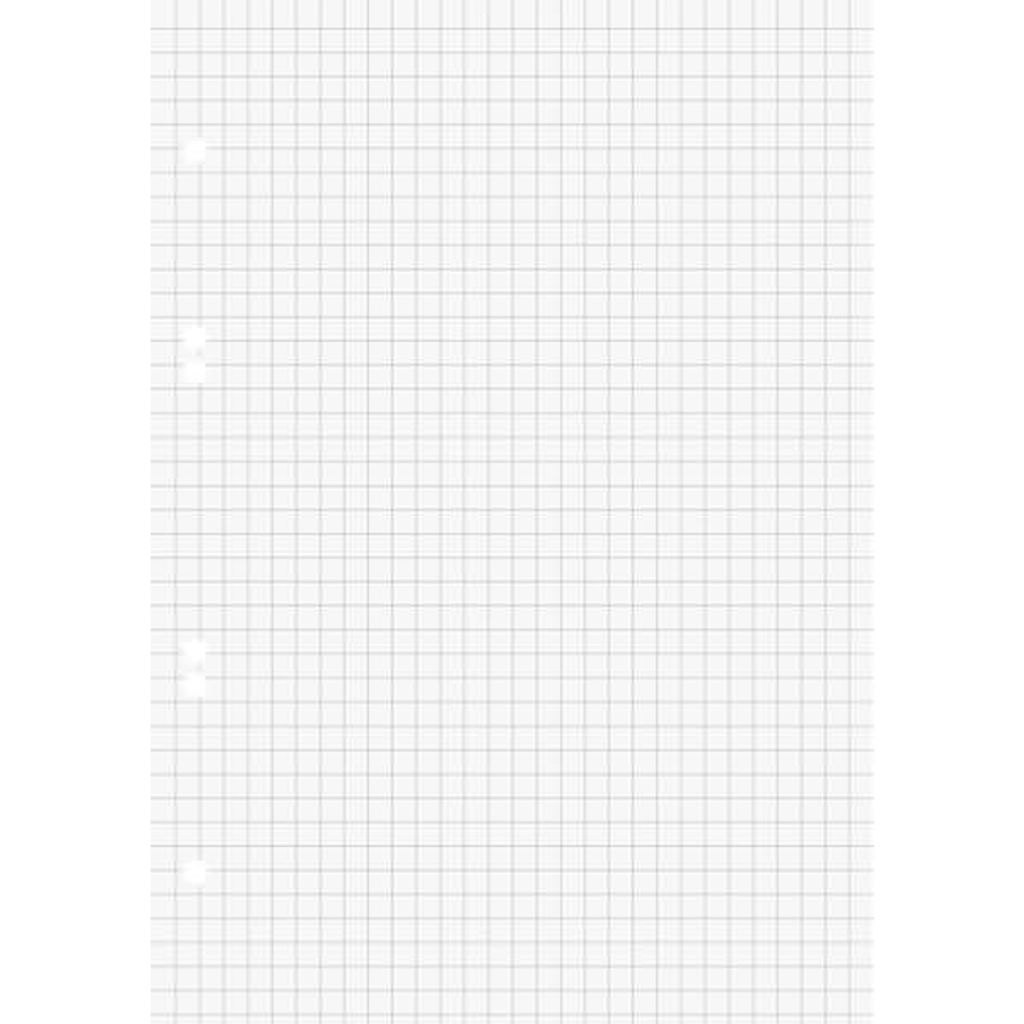 BRUNNEN Ringbucheinlage A5 kariert 50 Blatt 1066302 Produktbild 