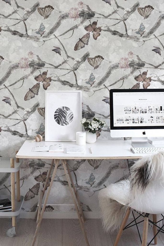 Coloray Fototapete 250x104 cm An Einer Wand Latex Latextapete - SchmetterlingsbrancheDelicate-Blumen.