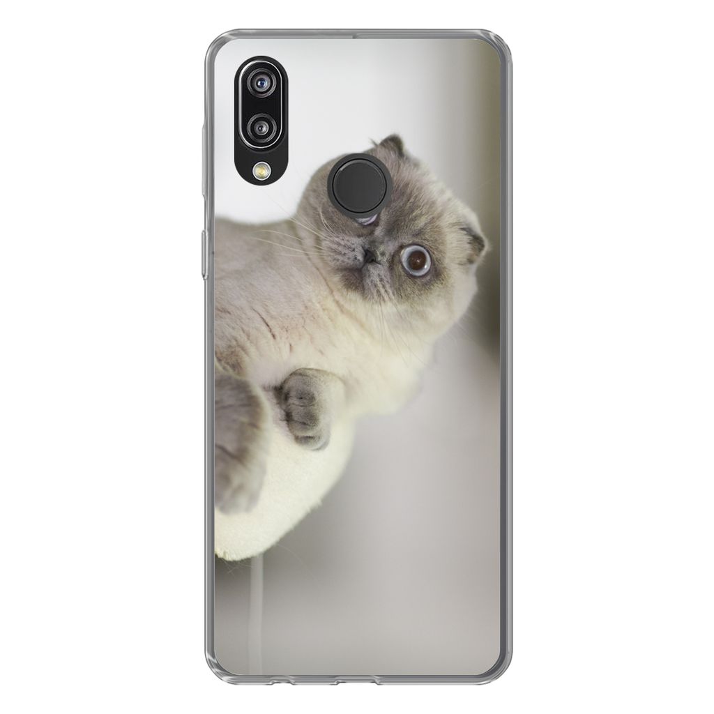 MuchoWow Handyhülle Schutzhülle Hülle für Huawei P20 Lite (2020) Katze - Tier - Wohnzimmer Silikon Softcase Handy Hülle - Kartenhalter