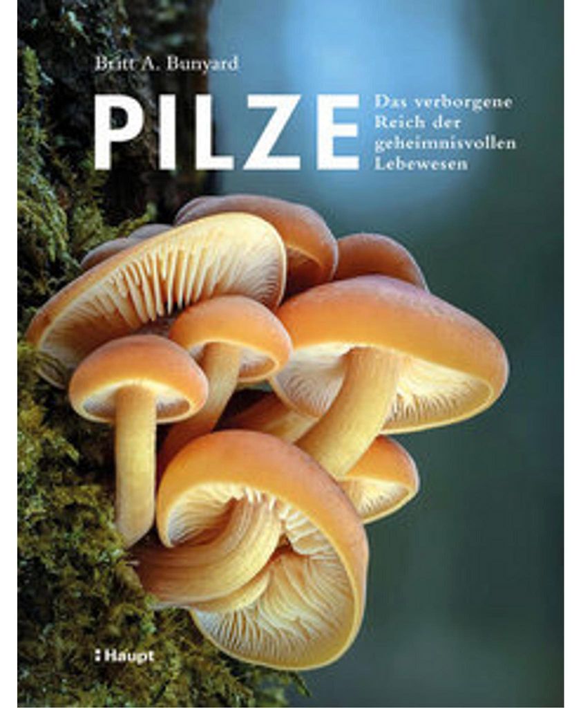 Pilze