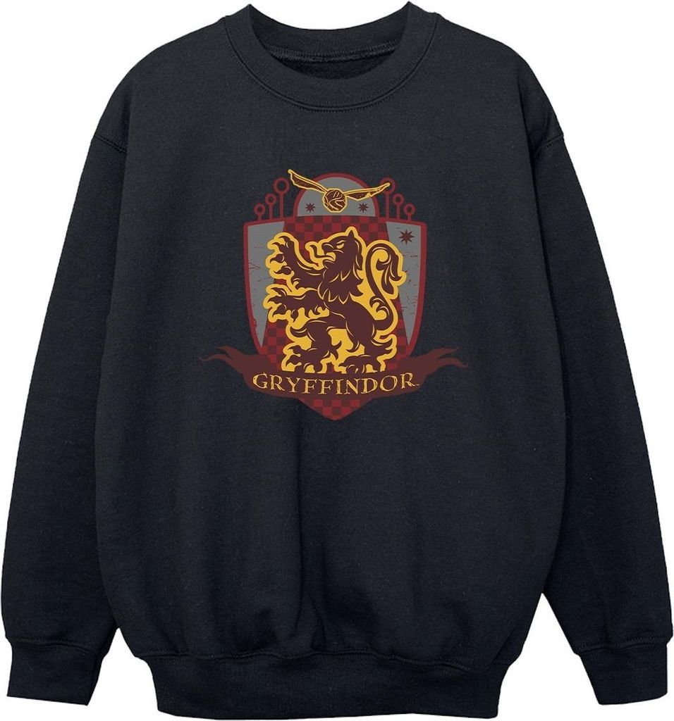 Harry Potter - "Gryffindor" Sweatshirt für Jungen BI20332 (104) (Schwarz)