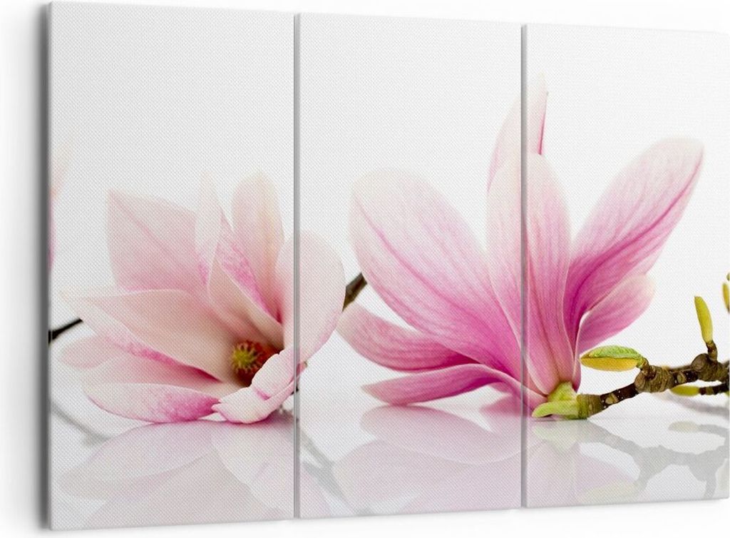 Bild auf Leinwand - Leinwandbild - Magnolie blume natur pflanze - 165x110cm - Wand Bild - Wanddeko - Leinwanddruck - Bilder - Kunstdruck - Wanddeko...