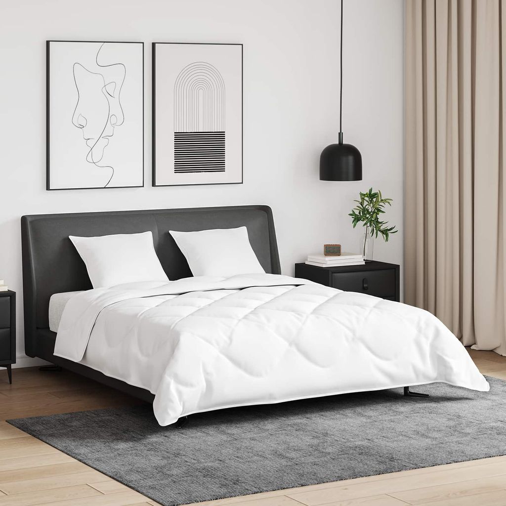 (Robust Möbel)Bettdecken Set Moderne für Schlafzimmer - Bettzeug-Set - mit Kissen 3 pcs Weiß Daunenfeder DE898017 - Bettwäschen