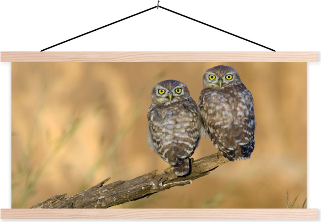 MuchoWow Textilposter Eulenpaar 60x30 cm mit holzfarbenen Rahmen - Dekoration