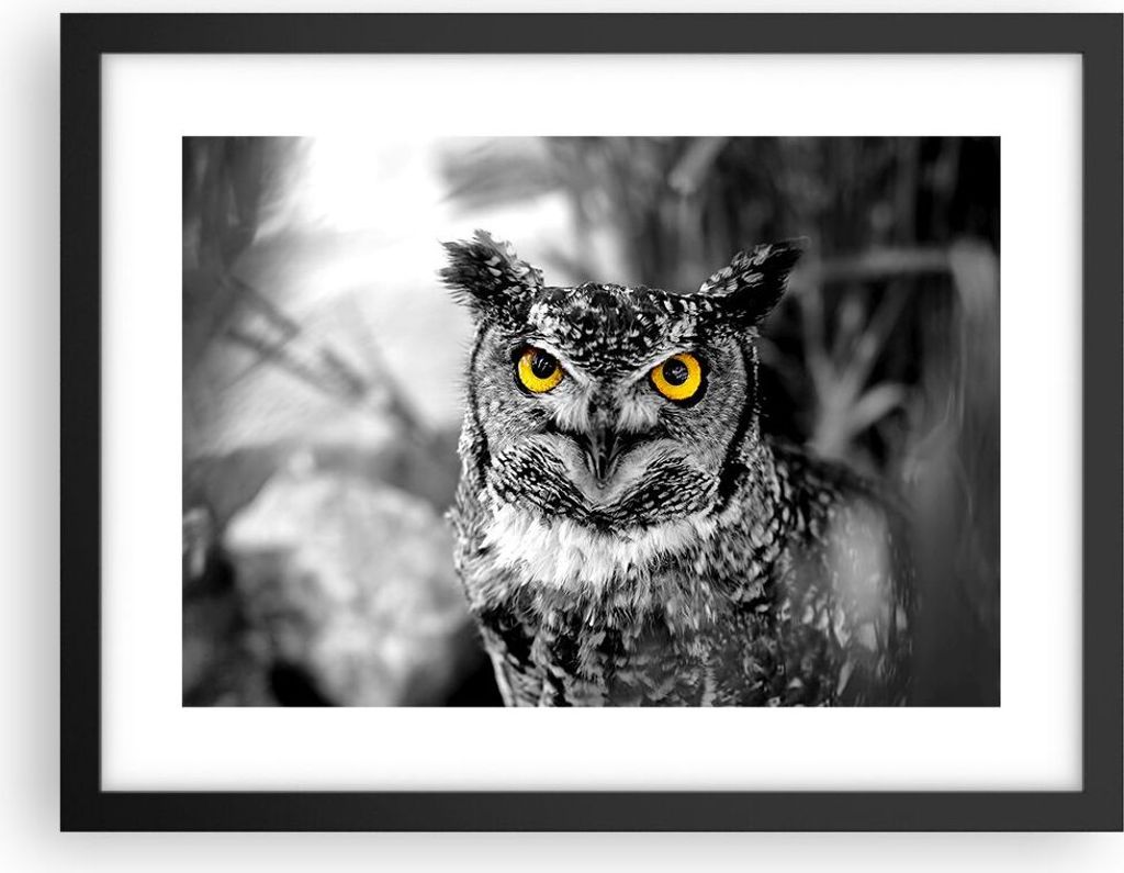 Gerahmtes Poster - Schwarzer Rahmen - Eule Vogel Natur - 40x30 cm - Wand Bild - Wanddeko - Wandbilder - Kunstposter - Wandposter - Bilderrahmen - B...