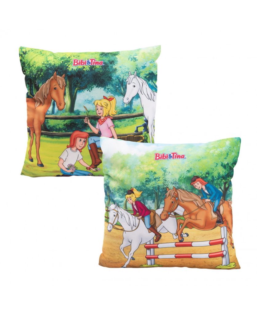 cushion - Ausritt Produktbild 