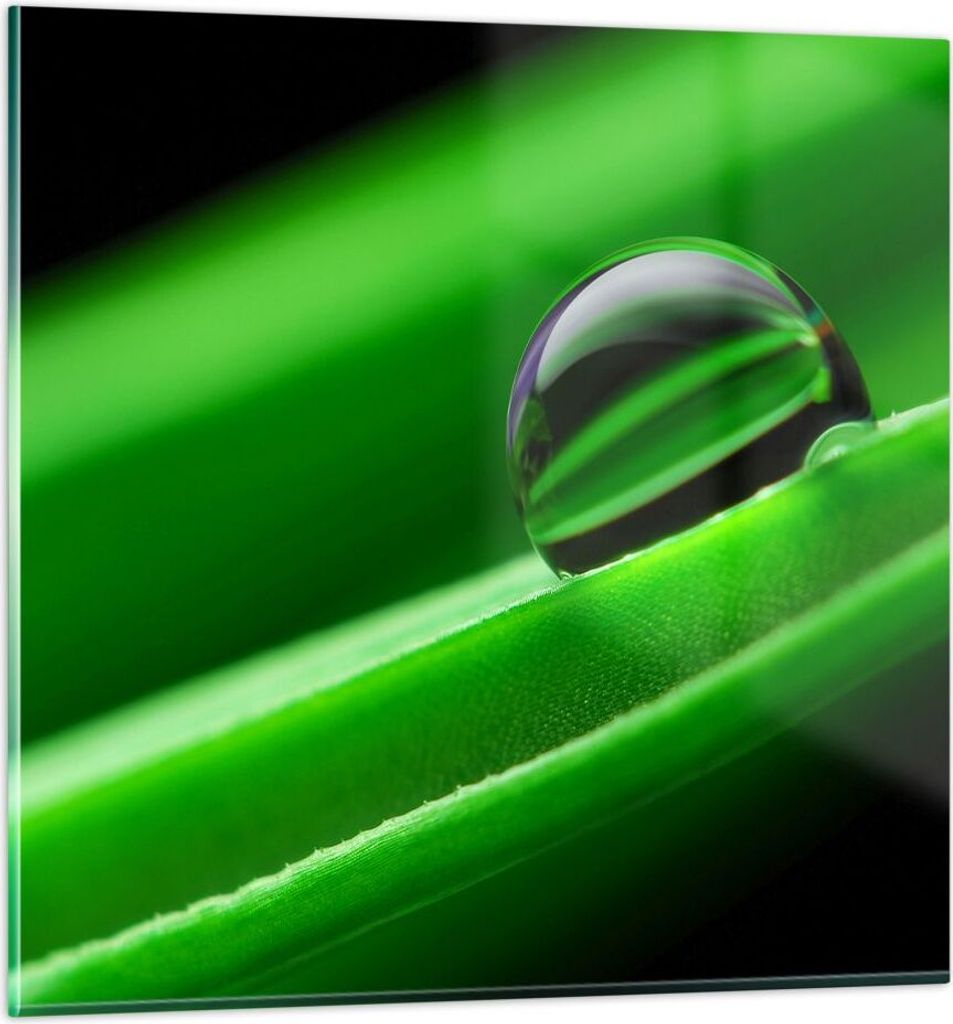 Bilder auf glas - Pflanze Tropfen Wasser Blase - 70x70cm - Glasbilder - Wandbilder - Kunstdruck - zum Aufhängen bereit - Wanddekoration aus Glas -...
