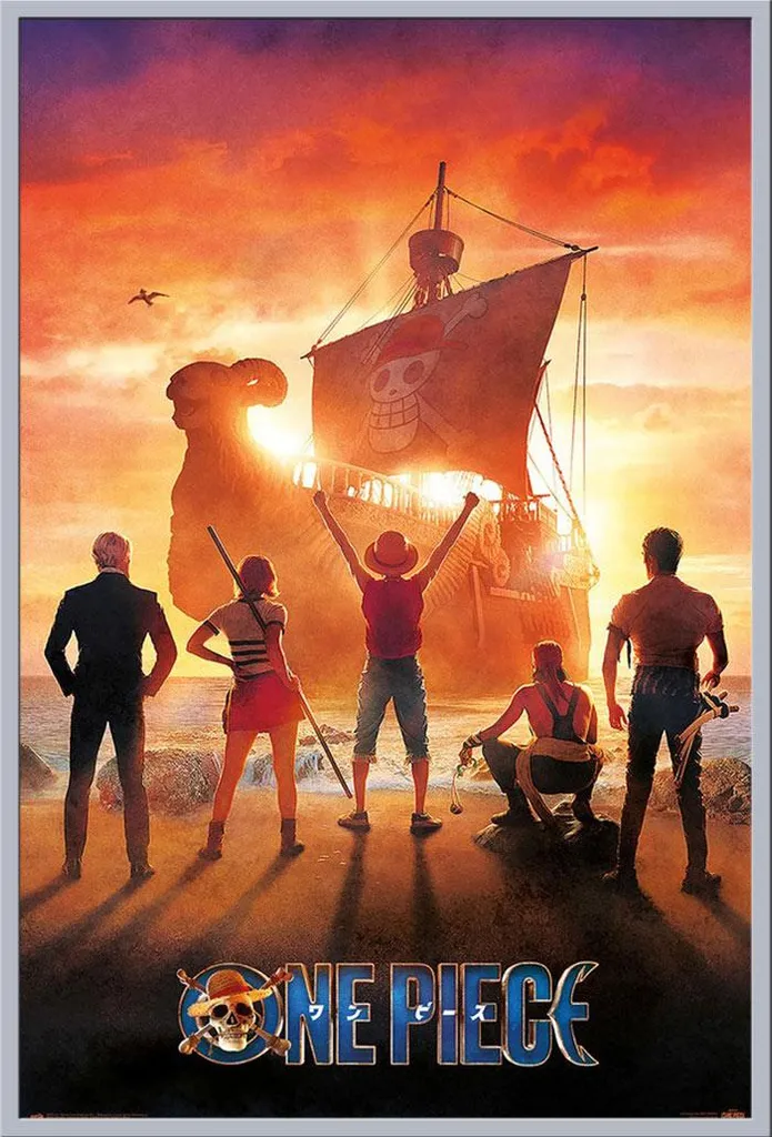 Fini les posters abîmés ! Affiche One Piece sous cadre argenté avec vitre