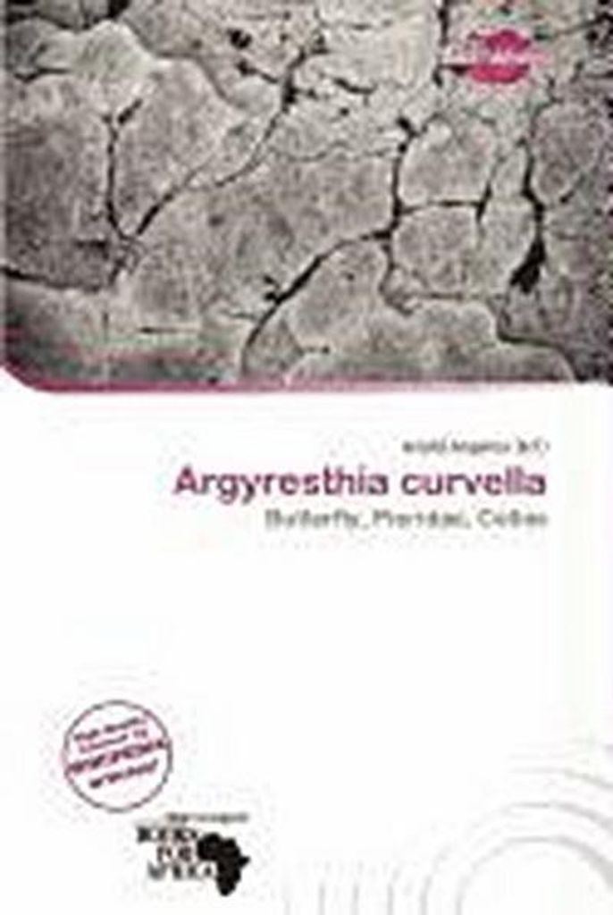 Argyresthia Curvella