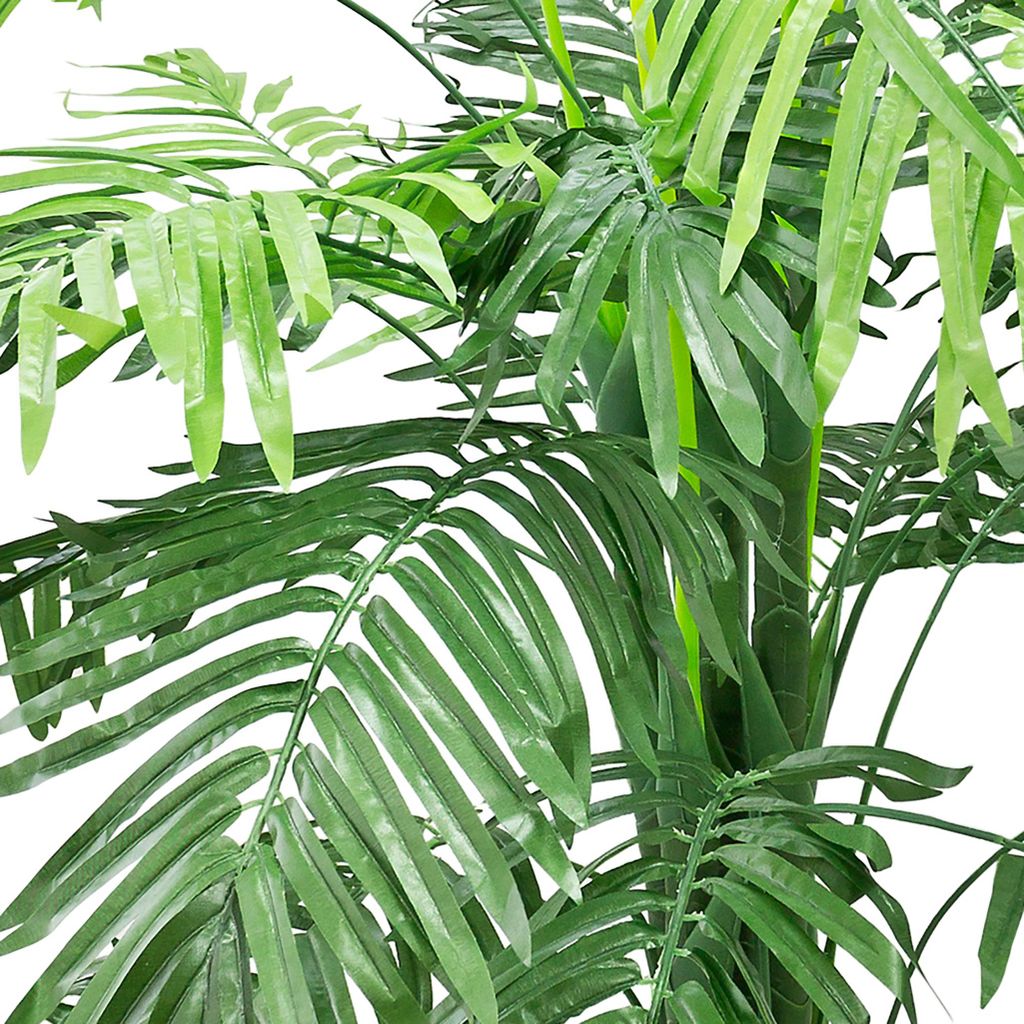 Palmenfarn 130 cm hoch | Balkon | Decovego