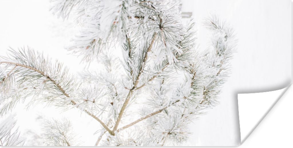 MuchoWow Poster Winter - Schnee - Zweige 150x75 cm - ohne Rahmen