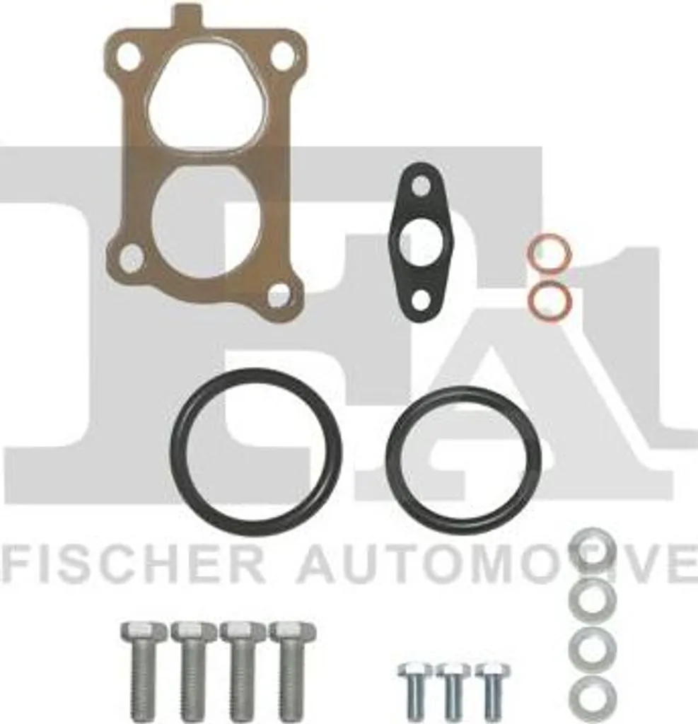 FA1 KT100250 Kit di montaggio, turbocompressore OE compatibile con Serie 5 E60, Serie 5 E61