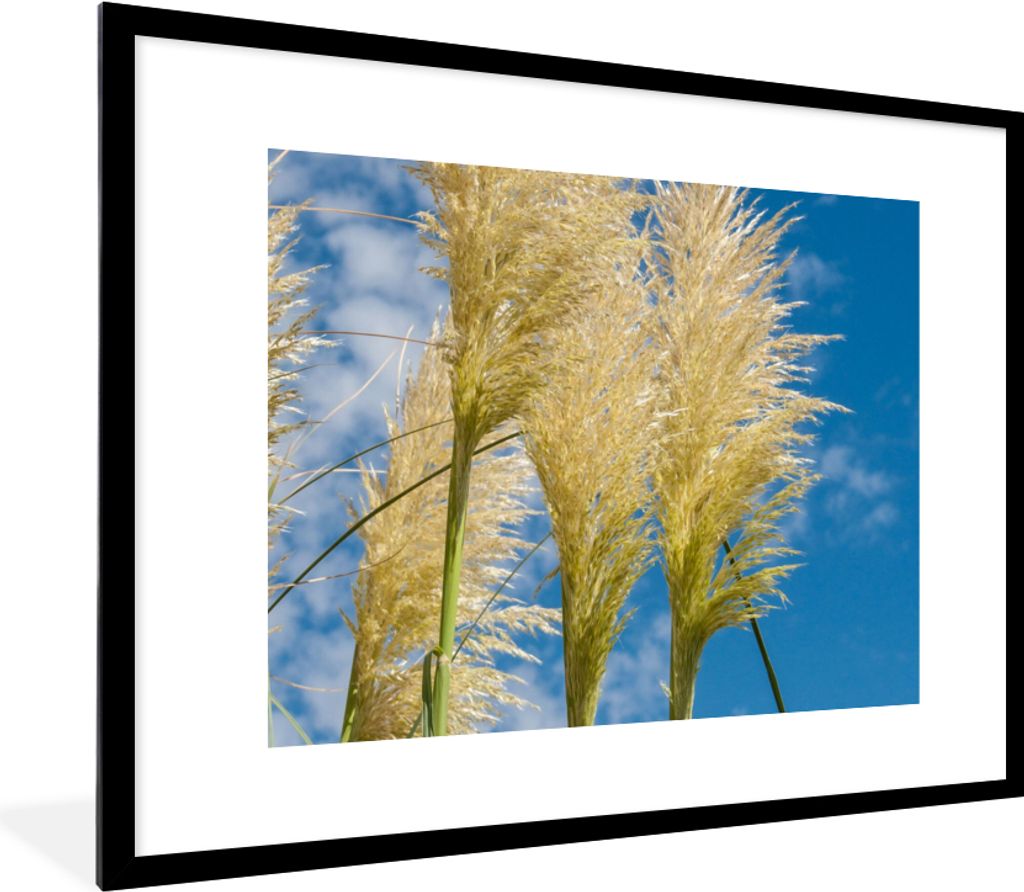 MuchoWow Gerahmtes Poster Pflanzen - Pampasgras - Luft 80x60 cm - Poster mit Schwarzem Bilderrahmen Wandposter Rahmen Foto Bilder - Schlafzimmer-...