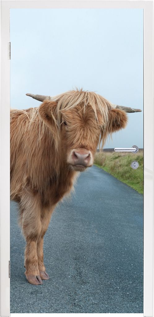 MuchoWow Türtapete Selbstklebende Türfolie Scottish Highlander - Straße - Gras 90x215 cm Türposter Türaufkleber Klebefolie Türklebefolie - ...