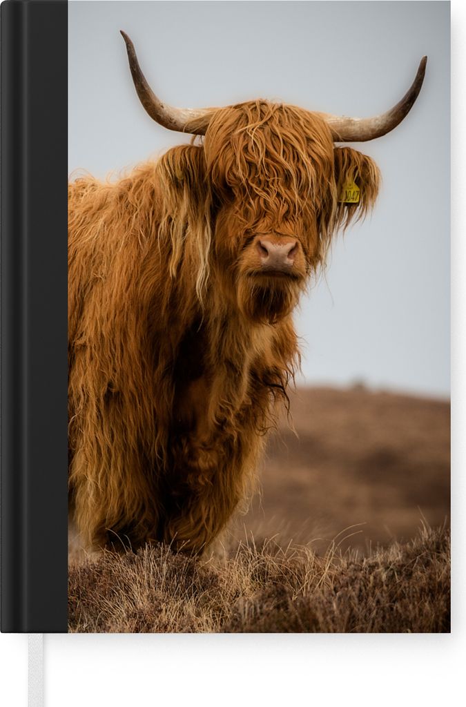 MuchoWow Notizbuch Tagebuch Haushaltsbuch Notebook A5 Schottischer Highlander - Düne - Gras - Notizblock - Notizheft - Notebook - Schreibblock -...