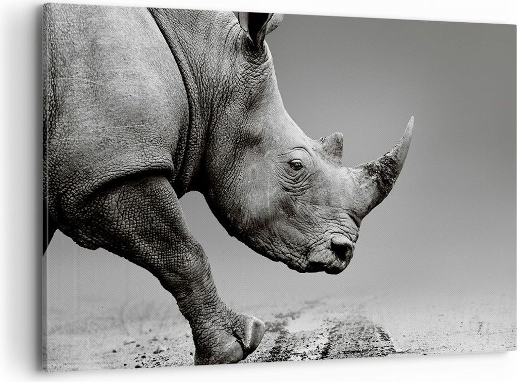 Bild auf Leinwand - Leinwandbild - Einteilig - Nashorn Monochrom Tier - 120x80cm - Wand Bild - Wanddeko - Wandbilder - Leinwanddruck - Bilder - Wan...
