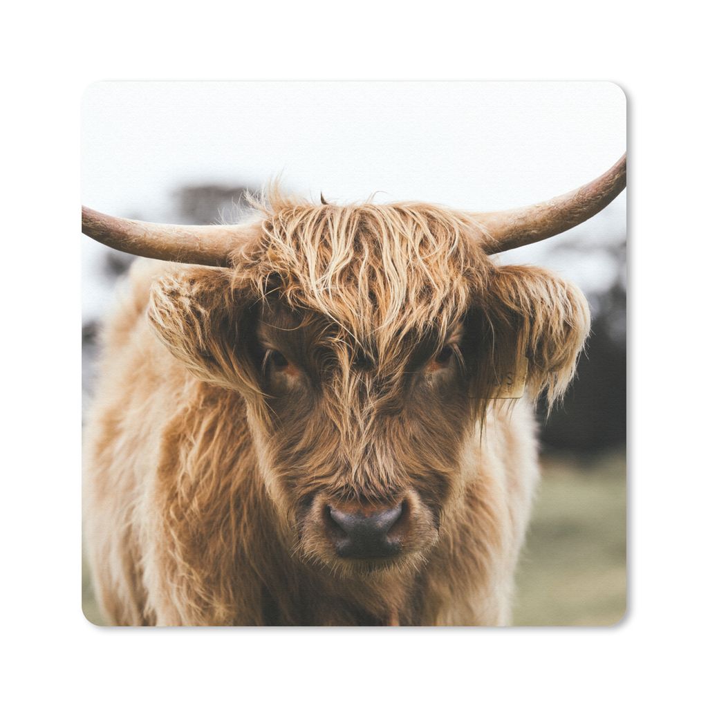 MuchoWow Mauspad Mousepad Schottischer Highlander - Kuh - Gras - Tiere - Natur 20x20 cm - Mousepads - Maus Mat - Pad - Mausunterlage - Desk Mat -...