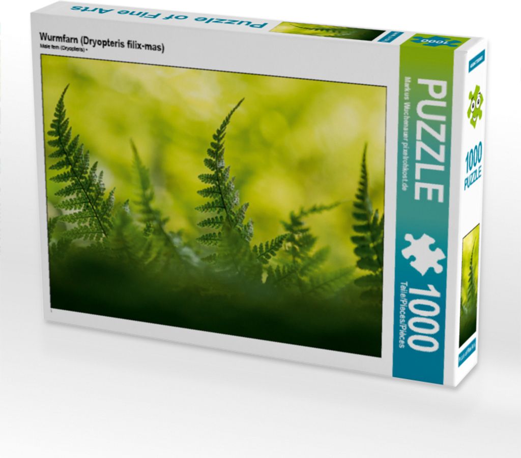 CALVENDO Puzzle Wurmfarn (Dryopteris filix-mas) | 1000 Teile Lege-Größe 64x48cm Foto-Puzzle für glückliche Stunden