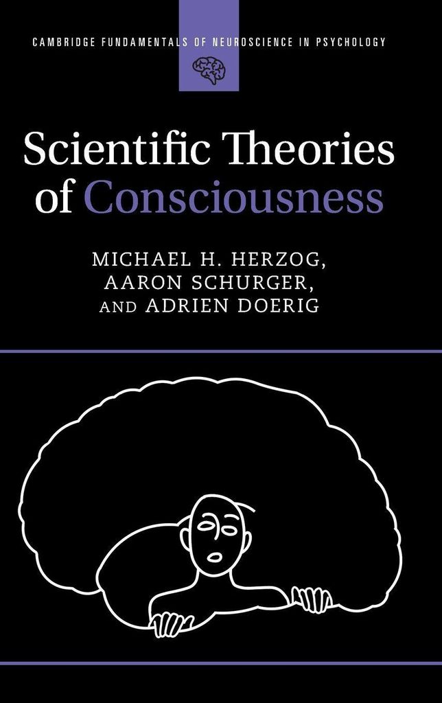 Scientific Theories of Consciousness