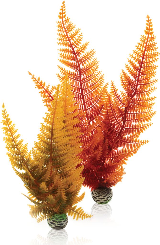 biOrb Aquatic autumn fern set 2 Obrázek produktu 