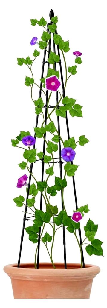 Kleine Rankhilfe für Topfpflanzen | Metallständer für Kletterpflanzen - Stützgestell für Blumen und Garten drinnen und draußen