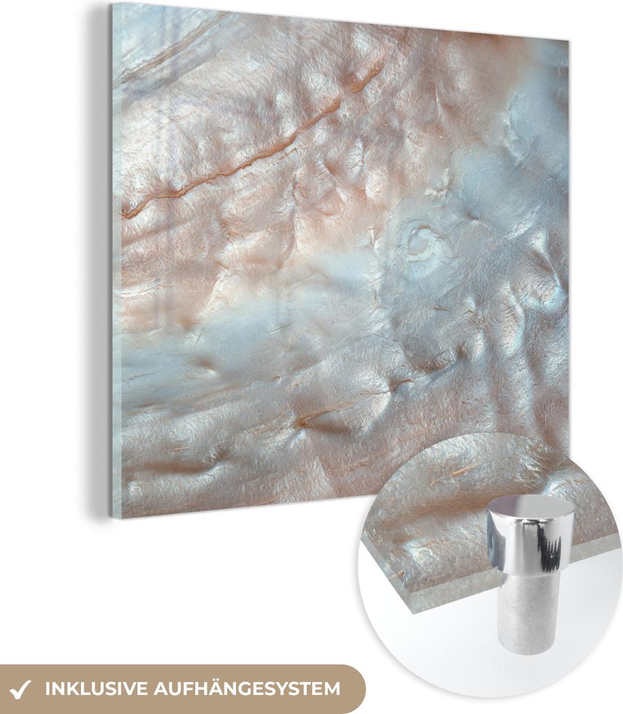 MuchoWow Glasbilder - Bilder auf Wandbild - Foto auf Glas Muscheln - Abstrakt - Natur 50x50 cm Wanddekoration aus Glas - Acrylglasbild - Acrylbilde...
