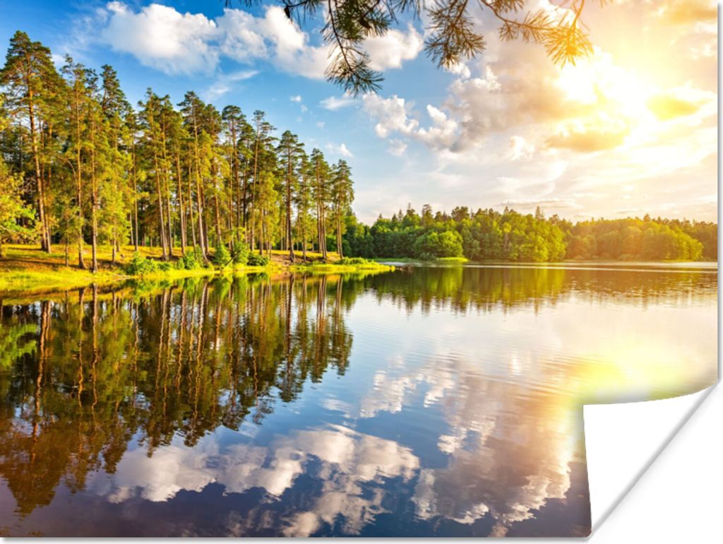 MuchoWow Poster Bäume - Wasser - Sonne 120x90 cm - Wandbild