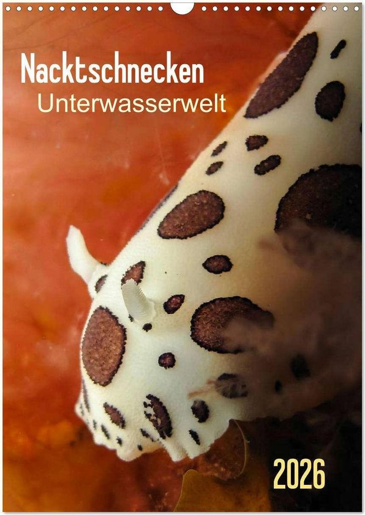 Nacktschnecken - Unterwasserwelt 2026 (Wandkalender 2026 DIN A3 hoch), CALVENDO Monatskalender