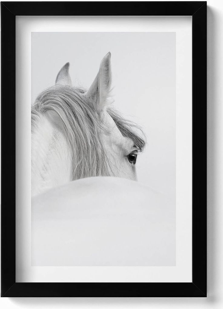 Andalusisches Pferd im Nebel– Wandbild mit Rahmen – Gerahmtes Bild – Wanddekoration – 20x30 cm – Schwarz