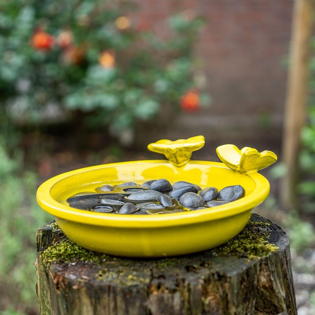 Insektentränke Produktbild 